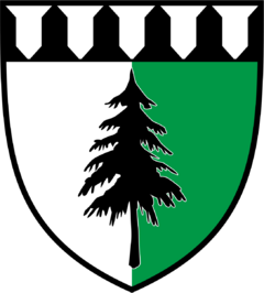 alt=Wappen der Nebenlinie der Familie Tannwirk